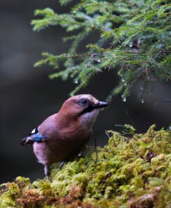 05e010fb 18f3 46bd 89de b64b79d0e186 1 105 c