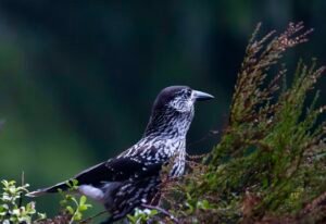 522f9a9d 7439 4966 b4ce 229ec6ec40b1 1 105 c