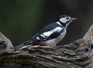 68471f7f 7935 4c6c b91e 59ce6ee07656