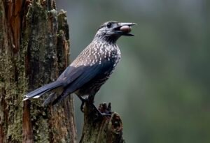 8ea1a40c 25e3 4681 bd98 c5df919cc215 1 102 a